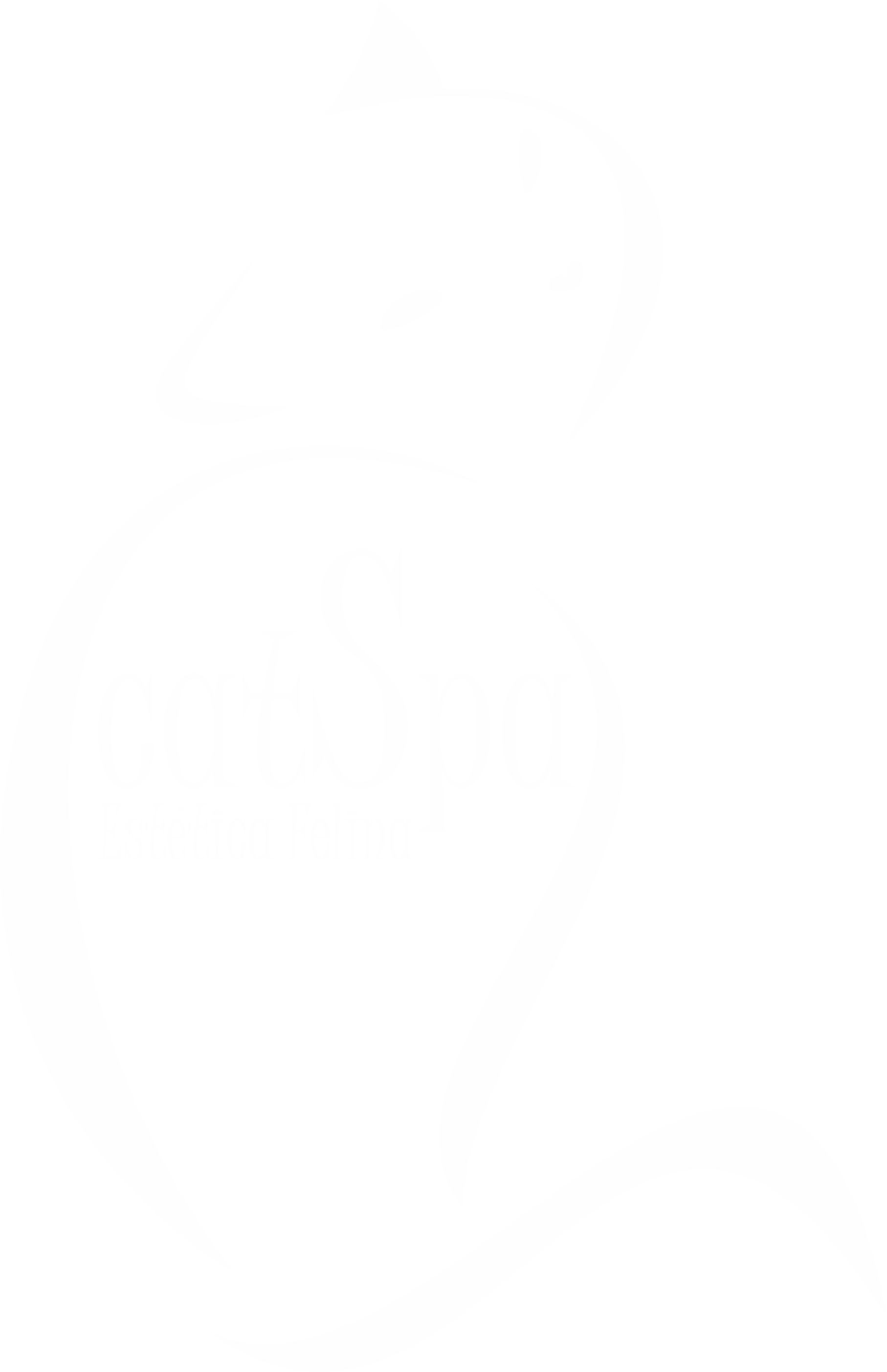 Logo da CatSpa