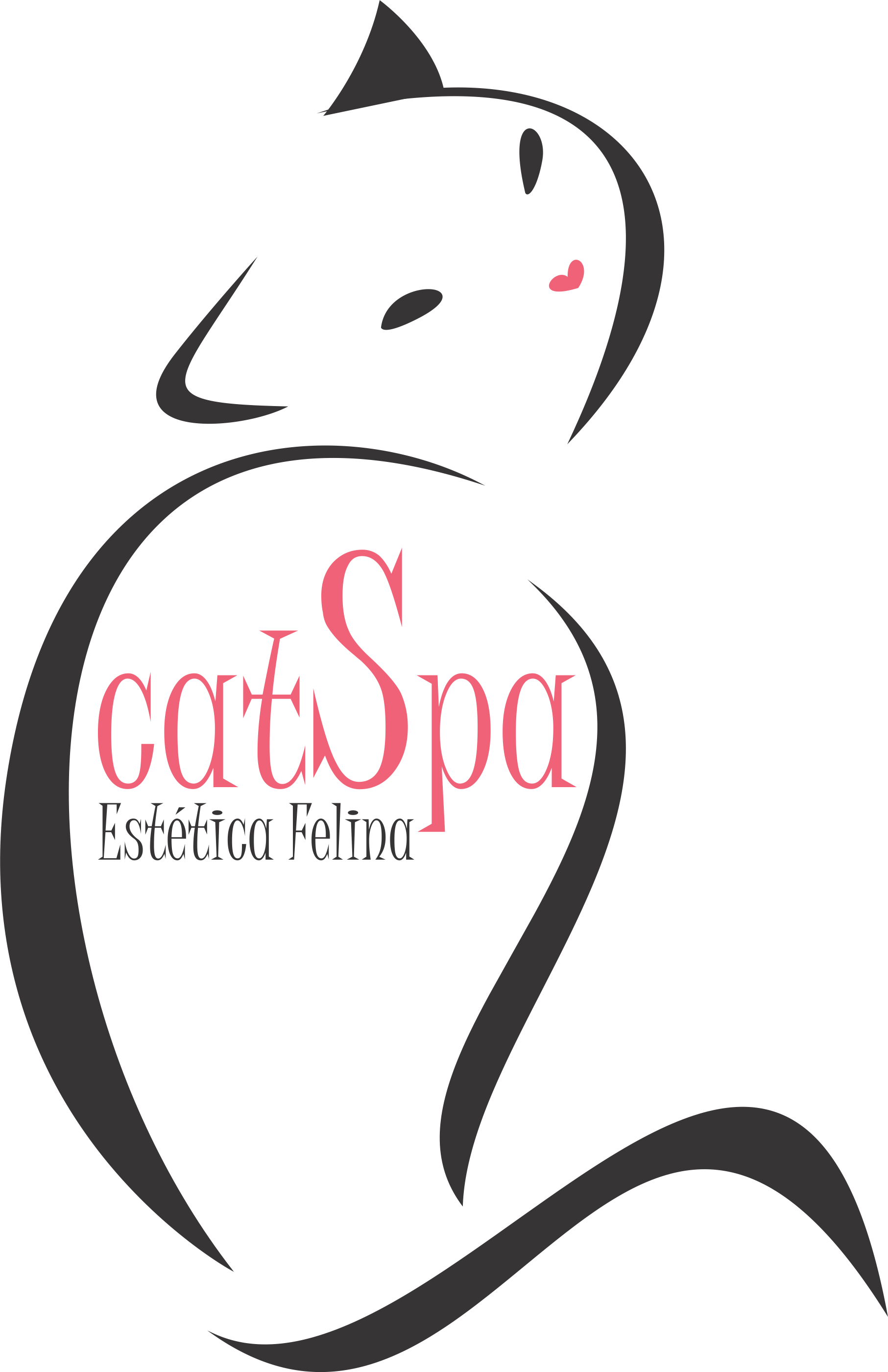 Logo da CatSpa